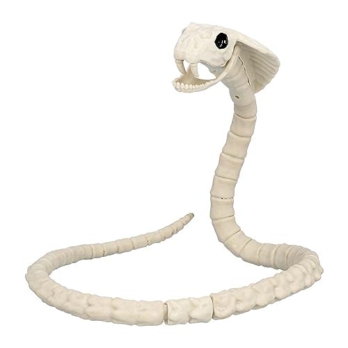 Boland 72417 - Schlangen-Skelett, Größe 102 cm, Attrappe aus Kunststoff, Schlange, Boa, Snake, Dekoration für Halloween, Karneval oder Mottoparty Boland 72417 - Schlangen-Skelett, Größe 102 cm, Attrappe aus Kunststoff, Schlange, Boa, Snake, Dekoration für Halloween, Karneval oder Mottoparty von Boland