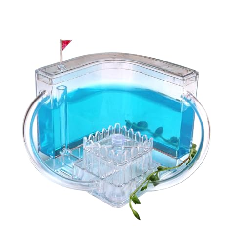 Ameisenfarm Mit Ameisen Starterset Ameisen Terrarium | Ameisenzucht-Set | Gel Ökosystem Für Ameisenfarm - Acryl Ameisennester Für Super Ameisen Mit Lupe von BommFu