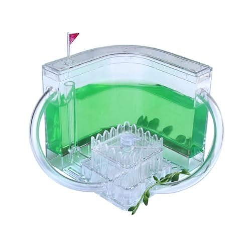 Ameisenfarm Mit Ameisen Starterset Ameisen Terrarium | Ameisenzucht-Set | Gel Ökosystem Für Ameisenfarm - Acryl Ameisennester Für Super Ameisen Mit Lupe von BommFu