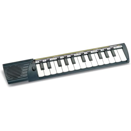 Bontempi 15 2500 Auto Elektronik-Keyboard, Schwarz/Weiß, M von Bontempi