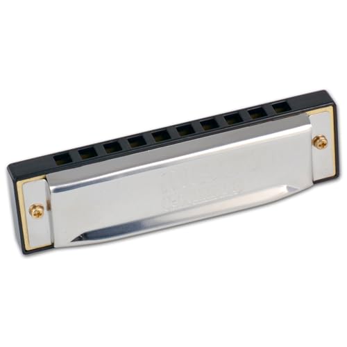 Bontempi 30 1020 Mondharmonica, grau von Bontempi