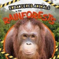 In the Rainforests von BookLife Publishing