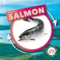 Life Cycle Of A Salmon von BookLife Publishing