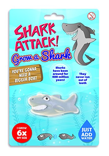 Boxer Gifts BB5227 Your Own Grow a Shark Spielzeug | Einfach Wasser hinzufügen | Großer Spaß Perfektes Geburtstags Jungen/Kinder, Mehrfarbig Boxer Gifts BB5227 Your Own Grow a Shark Spielzeug | Einfach Wasser hinzufügen | Großer Spaß Perfektes Geburtstags Jungen/Kinder, Mehrfarbig von Boxer Gifts