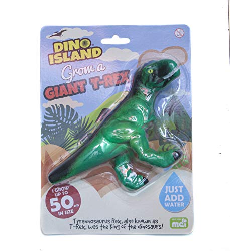 Boxer Gifts GiftsT-Rex Dinosaurier Spielzeug | Einfach Wasser hinzufügen | Spaß Geschenk für Kinder, BB5230, grün, One Size von Boxer Gifts