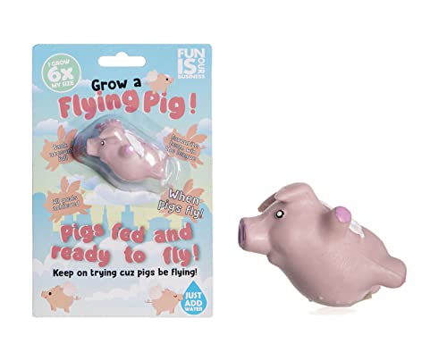 Boxer Gifts Grow Your Own Flying Pig | Just Add Water | Fun Stocking Filler for Kids von Boxer Gifts