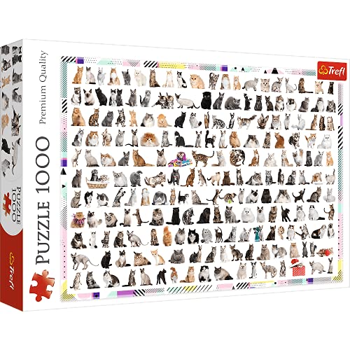 Brandsseller Puzzle - Cats/Katzen - 1000 Teile von Brandsseller