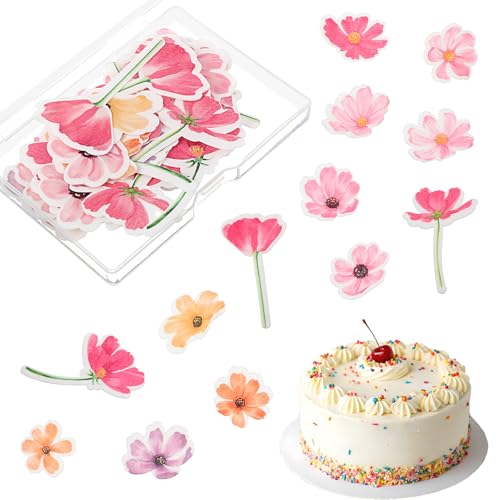 52 Stück Kirschblüten Cupcake Topper Tortendeko Auf Stäbchen Essbare Papier Kuchen Deko Hochzeit Essbare Blumen Cupcake Toppers für Braut Dusche Geburtstag Party Kuchen Dekorationen Rosa 52 Stück Kirschblüten Cupcake Topper Tortendeko Auf Stäbchen Essbare Papier Kuchen Deko Hochzeit Essbare Blumen Cupcake Toppers für Braut Dusche Geburtstag Party Kuchen Dekorationen Rosa von Bremorou