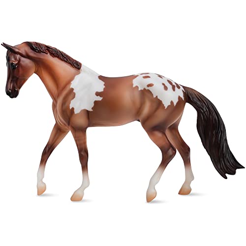 Breyer Horses Freedom Series Red Dun Pintaloosa | Pferdespielzeug | 24,8 x 17,8 cm | Maßstab 1:12 | Modell #1053 von Breyer