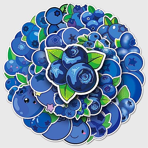 Bric Dodo 50 Stück Blaubeeren Aufkleber Auto Laptop Telefon Gitarre Skateboard Motorrad Fahrrad Blaubeeren Stickers Set Vinyl Wasserdicht Aesthetic Aufkleber für Jugendliche Kinder Erwachsene von Bric Dodo