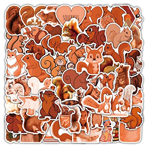 50 Stück Cute Eichhörnchen Aufkleber Auto Laptop Telefon Gitarre Skateboard Motorrad Fahrrad The Squirrel Animal Stickers Set Vinyl Wasserdicht Aesthetic Aufkleber für Jugendliche Kinder Erwachsene von Bric Dodo