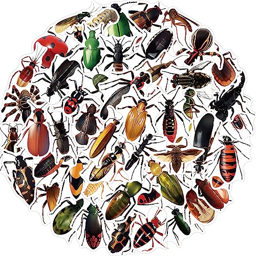 50 Stück Insects Insekten Aufkleber Auto Laptop Telefon Gitarre Skateboard Motorrad Fahrrad Bug Stickers Set Vinyl Wasserdicht Aesthetic Aufkleber für Jugendliche Kinder Erwachsene von Bric Dodo