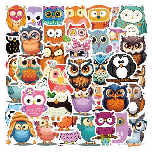 Bric Dodo 60 Stück Eule Aufkleber Auto Laptop Telefon Gitarre Skateboard Motorrad Fahrrad Eule Stickers Set Vinyl Wasserdicht Aesthetic Aufkleber für Jugendliche Kinder Erwachsene von Bric Dodo