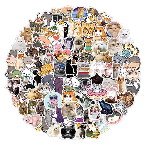 Bric Dodo 100 Stück Katze Aufkleber Laptop Telefon Gitarre Skateboard Notebook Auto Motorrad Fahrrad Vinyl Stickers Wasserdicht Süße Katzen Aufkleber für Jugendliche Kinder Erwachsene von Bric Dodo