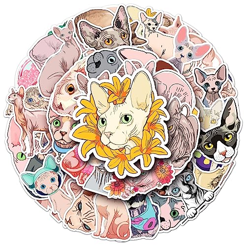 Bric Dodo 50 Stück Canadian Hairless Aufkleber Auto Laptop Telefon Gitarre Skateboard Motorrad Fahrrad Cat Stickers Set Vinyl Wasserdicht Aesthetic Aufkleber für Jugendliche Kinder Erwachsene Bric Dodo 50 Stück Canadian Hairless Aufkleber Auto Laptop Telefon Gitarre Skateboard Motorrad Fahrrad Cat Stickers Set Vinyl Wasserdicht Aesthetic Aufkleber für Jugendliche Kinder Erwachsene von Bric Dodo