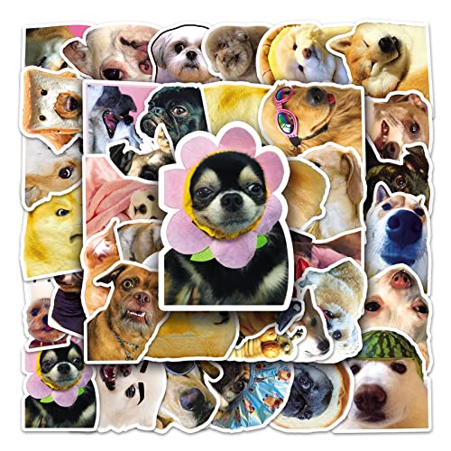 Bric Dodo 50 Stück Meme Hund Aufkleber Auto Laptop Telefon Gitarre Skateboard Motorrad Fahrrad Meme Dog Stickers Set Vinyl Wasserdicht Aesthetic Aufkleber für Jugendliche Kinder Erwachsene von Bric Dodo