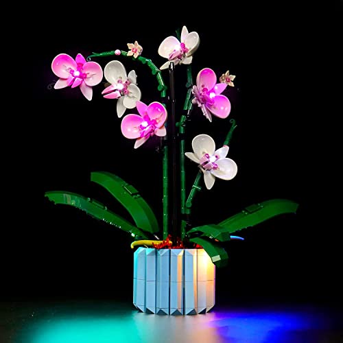 Led Licht Set Kompatibel mit Lego 10311 Icons Orchidee Set（Kein Lego-Modell enthalten, DIY Beleuchtungsset Compatible with Orchid Lego Blume Erwachsene Botanical Collection Home Deko-Classic Version von BrickBling