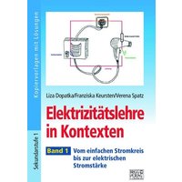 Elektrizitätslehre in Kontexten - Band 1 von Brigg