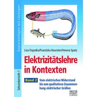 Elektrizitätslehre in Kontexten - Band 2 von Brigg