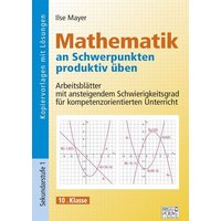 Mathematik an Schwerpunkten produktiv üben - 10. Klasse von Brigg