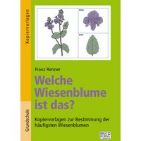 Welche Wiesenblume ist das? von Brigg