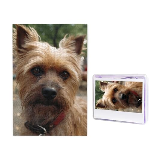 Puzzle mit 1000 Teilen – Hund im Park, Bilderpuzzles für Erwachsene, herausforderndes Puzzle, personalisiertes Holzpuzzle, Fotopuzzle, Geschenke, 74,9 x 50 cm von Btcowzrv