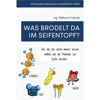 Was brodelt da im Seifentopf? von Buchschmiede