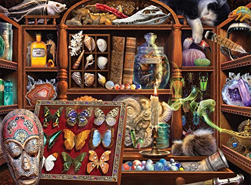 Buffalo Games - Curiosity Cabinet - 1000 Teile Puzzle von Buffalo Games