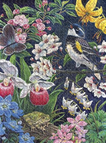 Buffalo Games - Gold - Linda Howard Bittner - Bird's Serenade - 1000 Teile Puzzle für Erwachsene Herausforderndes Puzzle perfekt für Spieleabende - Fertige Puzzle-Größe ist 26,75 x 19,75 cm von Buffalo Games