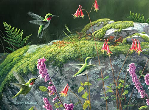 Buffalo Games - Hautman Brothers - Dappled Hummingbirds - 1000 Teile Puzzle von Buffalo Games