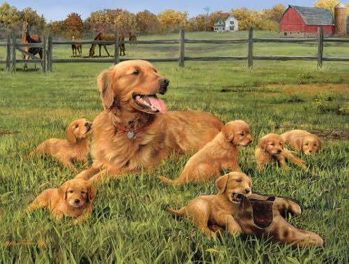 Buffalo Games - Hautman Brothers - Glorious Goldens - 750-teiliges Puzzle für Erwachsene, herausforderndes Puzzle, perfekt für Spieleabende, fertige Puzzle-Größe ist 24,00 x 18,00 von Buffalo Games