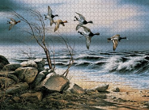 Buffalo Games - Terry Redlin - Bluebill Point - 1000-teiliges Puzzle für Erwachsene, herausforderndes Puzzle, perfekt für Spieleabende, fertige Puzzle-Größe ist 26,75 x 19,75 cm von Buffalo Games