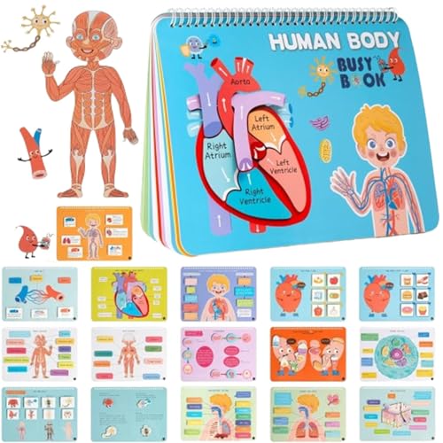 Buhygn Human Body Book | Kids Anatomy Book | Kids Learning Book | Preschool Learning Toy | Fascinating Human Body | Educational Busy Book for Kids, Girls, Boys, Friends von Buhygn