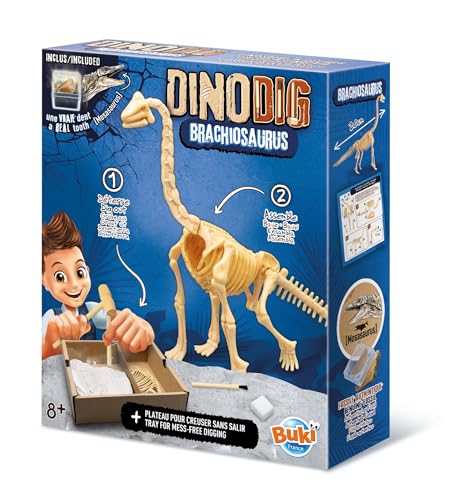 Buki 445BRA - Dino zum Ausgraben – Brachiosaurus | Archäologie-Spielzeug für Kinder ab 8 Jahren | Dinosaurier Skelett Ausgrabungsset von Buki