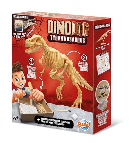 Buki 445TYR - Dino zum Ausgraben – T-Rex | Archäologie-Spielzeug für Kinder ab 8 Jahren | Dinosaurier Skelett Ausgrabungsset von Buki