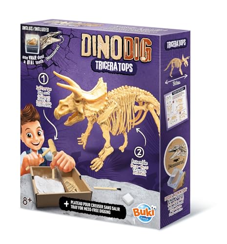 Dino dig Triceratops Dinosaurier Ausgraben 20 cm von Buki