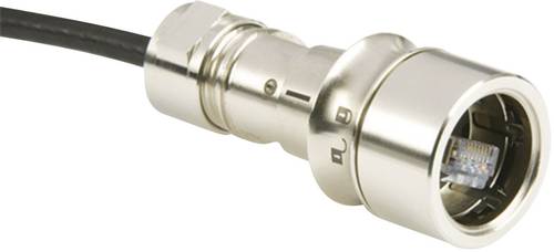 Bulgin PXM6034/A Sensor-/Aktor-Datensteckverbinder Stecker, gerade Polzahl Sensoren: 8P8C 1St. von Bulgin