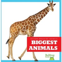 Biggest Animals von Jump!