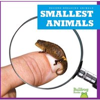 Smallest Animals von Jump!