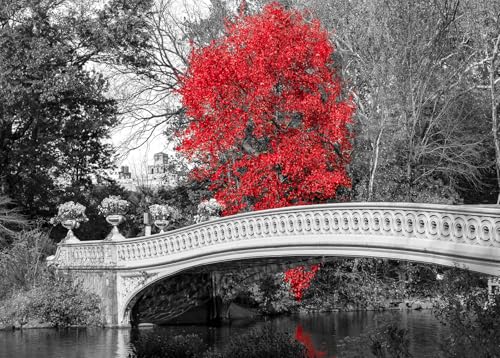 Bullglesup Puzzle für Erwachsene 1000 Teile, Red Tree mit Poster, Teile Passen Perfekt Ineinander Buchstaben Auf der Rückseite Kein Staub, Geschenk für Ältere Senioren (70 x 50cm) von Bullglesup