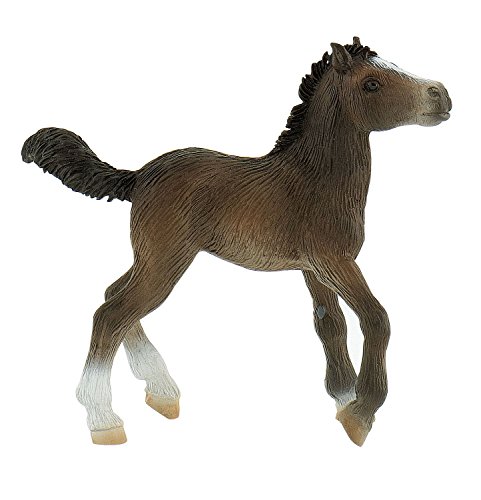 Bullyland 62512 - Spielfigur, Lipizzaner Fohlen, ca. 9 cm von Bullyland