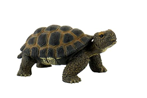 Bullyland 63553 - Spielfigur Landschildkröte, ca. 13,6 cm große Tierfigur, detailgetreu, PVC-frei, ideal als kleines Geschenk für Kinder ab 3 Jahren von Bullyland