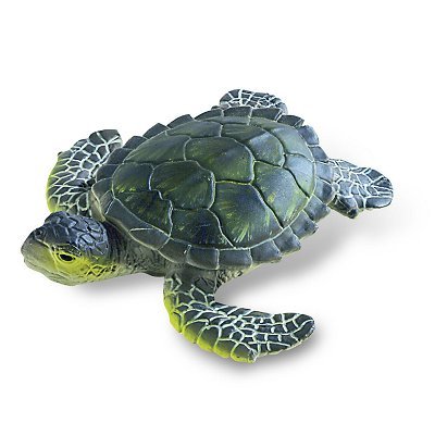 Bullyland 63556 DELUXE MEERSCHILDKRÖTENJUNGES von Bullyland