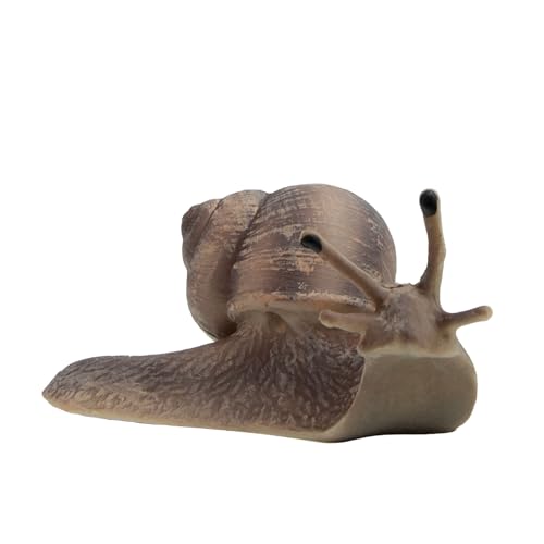 Bullyland 64375 - Spielfigur Weinbergschnecke, ca. 8,5 cm große Tierfigur, detailgetreu, PVC-frei, ideal als kleines Geschenk für Kinder ab 3 Jahren Bullyland 64375 - Spielfigur Weinbergschnecke, ca. 8,5 cm große Tierfigur, detailgetreu, PVC-frei, ideal als kleines Geschenk für Kinder ab 3 Jahren von Bullyland