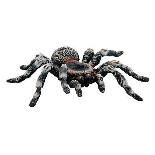 Bullyland 68457 - Spielfigur Weißknie Vogelspinne, ca. 8,5 cm große Tierfigur, detailgetreu, PVC-frei, ideal als kleines Geschenk für Kinder ab 3 Jahren von Bullyland