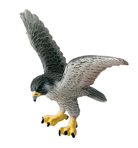 Bullyland 69356 - Spielfigur Wanderfalke, ca. 10,5 cm große Tierfigur, detailgetreu, PVC-frei, ideal als kleines Geschenk für Kinder ab 3 Jahren von Bullyland