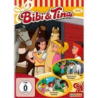 BUSCH 130368 DVD Bibi&Tina Pferdegala von Busch