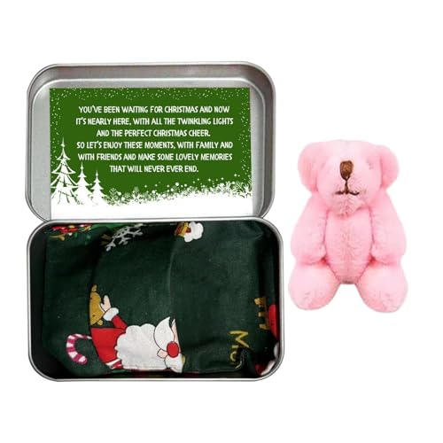 Bvizyelck Weihnachtsbär in Einer Dose | Taschenbär-Plüschtier mit Karten und Steppdecken - Winziger Bär in Box Weihnachten, Stoffbär, Taschenbär-Spielzeug mit Karten und Steppdecken für von Bvizyelck