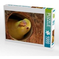 CALVENDO Puzzle 1000 Teile Lege-Größe 64x48cm Foto-Puzzle für glückliche Stunden CALVENDO Puzzle 1000 Teile Lege-Größe 64x48cm Foto-Puzzle für glückliche Stunden von Calvendo