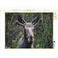 CALVENDO Puzzle Der Elch - Majestät der nordischen Wildnis 1000 Teile Lege-Größe 64x48cm Foto-Puzzle für glückliche Stunden CALVENDO Puzzle Der Elch - Majestät der nordischen Wildnis 1000 Teile Lege-Größe 64x48cm Foto-Puzzle für glückliche Stunden von CALVENDO Verlag GmbH